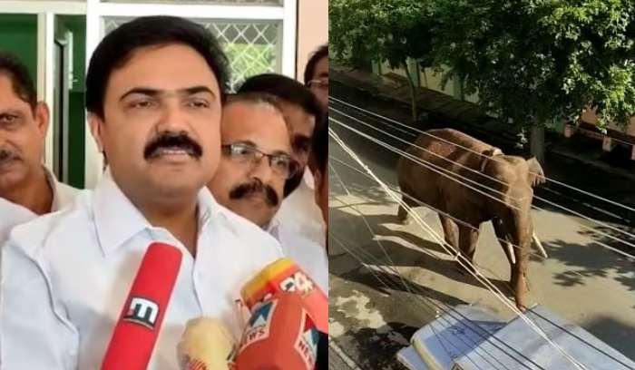 jose k mani about arikkomban kambam