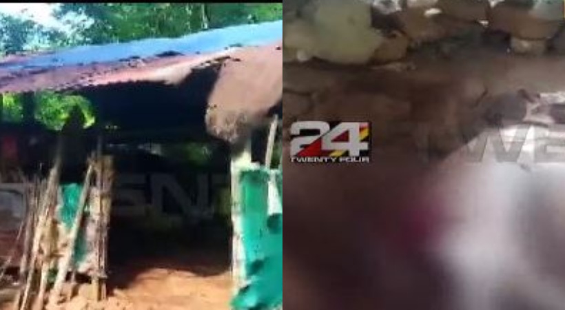 leopard attack at Thrissur Palappalli