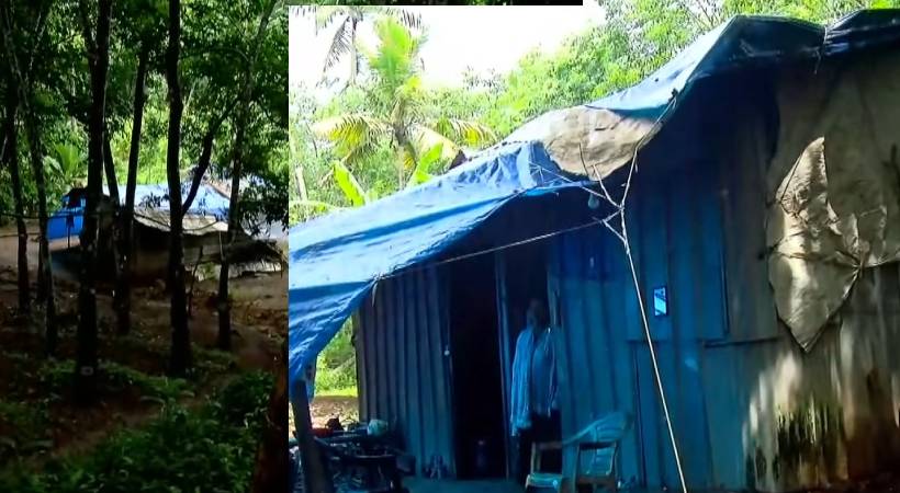 woman with mentally challenged daughter lives in shed
