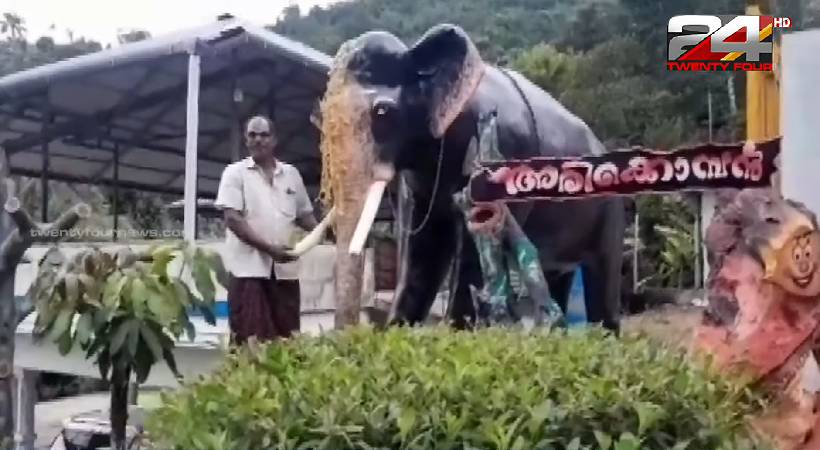 idukki man builds arikomban statue