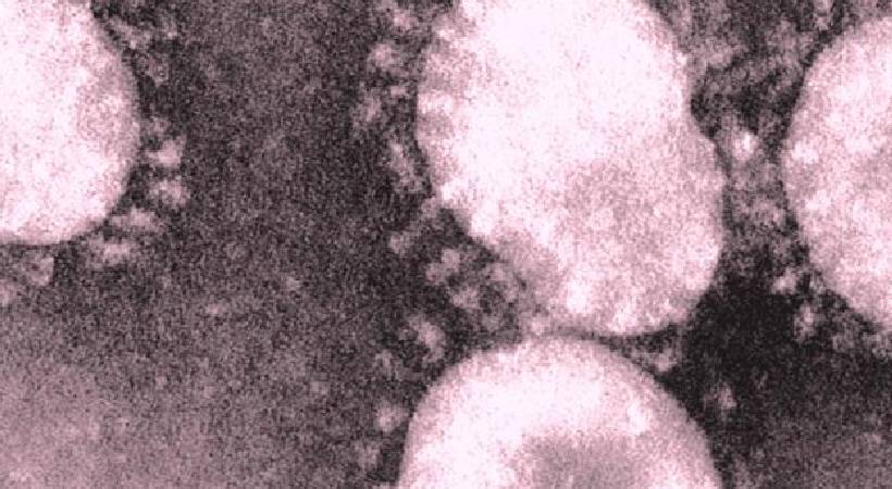 Malappuram H1N1 case confirmed