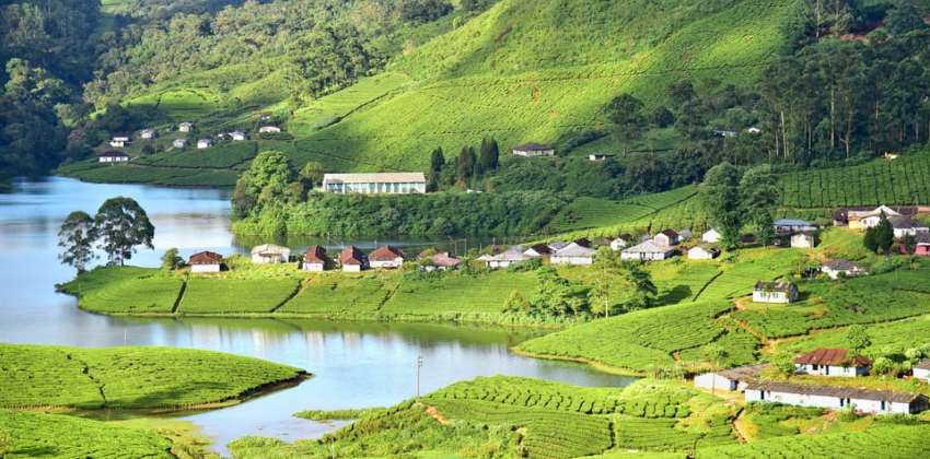 Kerala High Court Bans Construction in Munnar