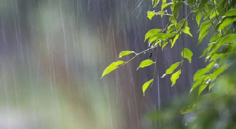 Monsoon remains weak in Kerala