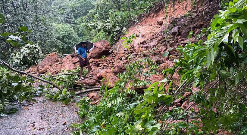 Monsoon: Instructions for cutting hazardous trees