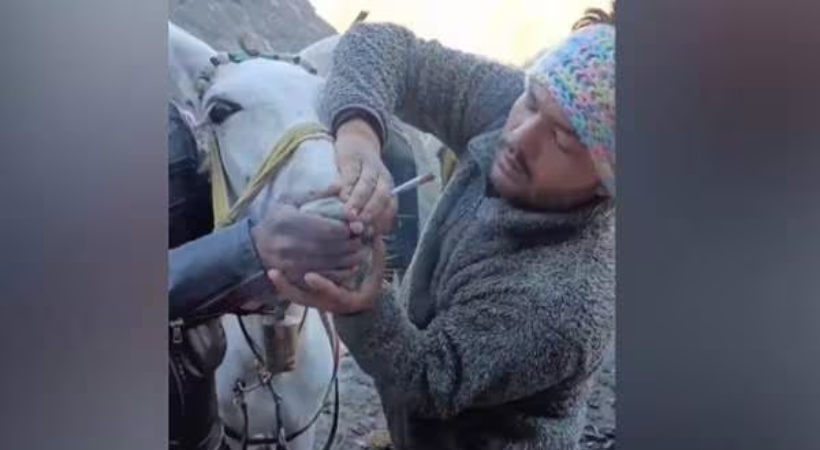 Mule forced inhale weed Kedarnath