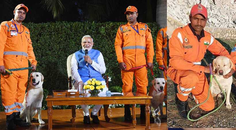 Dog Awarded for helping Turkey earthquake rescue team