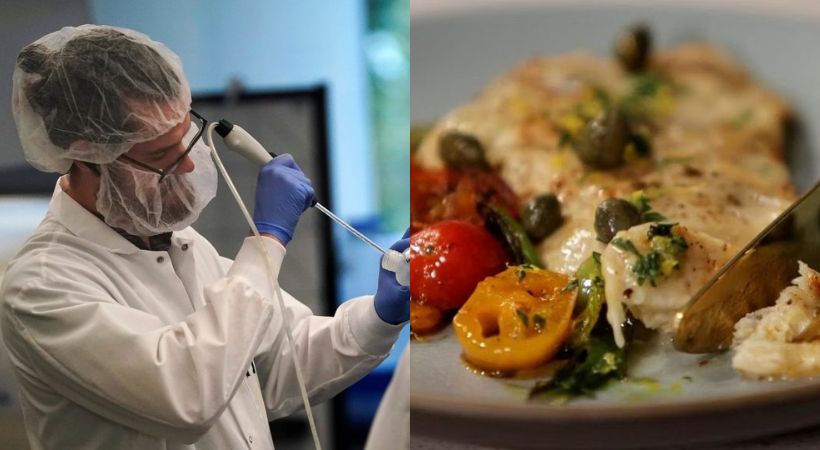 US Approves Lab-Grown Chicken To Be Sold In Markets