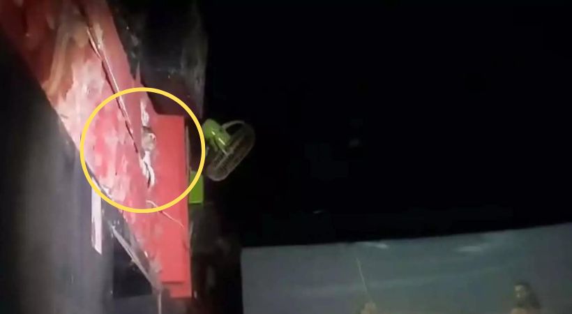 Monkey watching Adipurush at theatre video viral