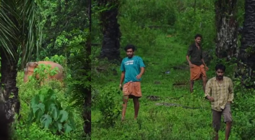 Image of Wild Elephant in Thrissur