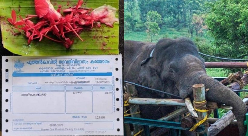 Pooja for elephant arikomban