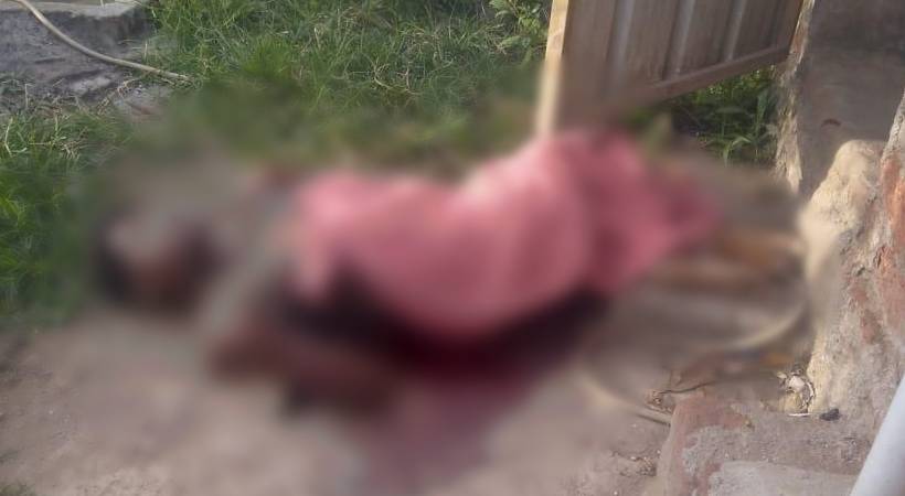 attappady adivasi youth found dead