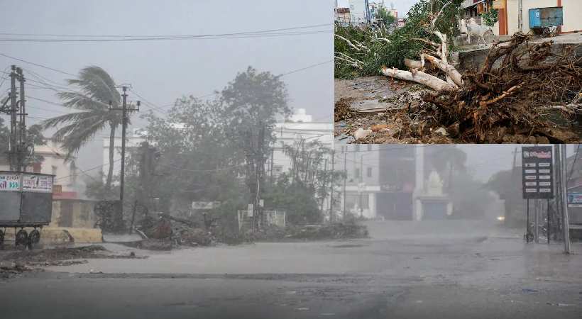 Biporjoy cyclone moves to Rajasthan