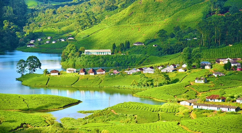 chinnakkanal tent camps panchayat