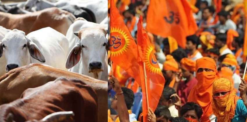 maharashtra-man-transporting-cattle-lynched-by-gau-rakshaks (1)