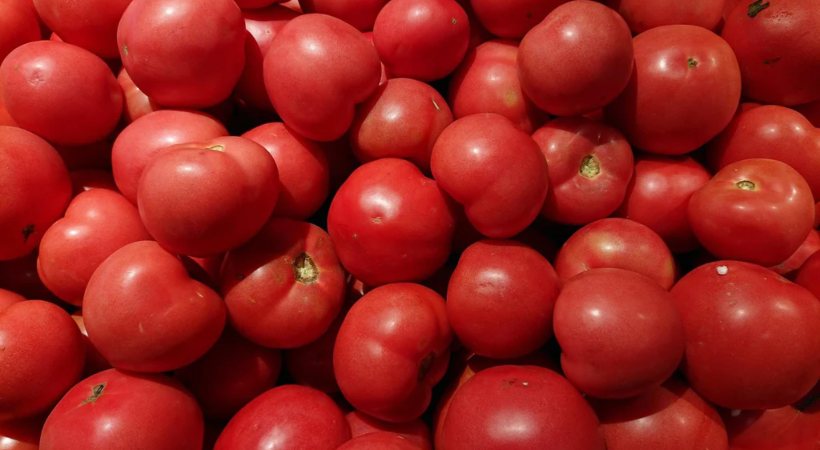 Tomato rates hits rs 100 in Kerala
