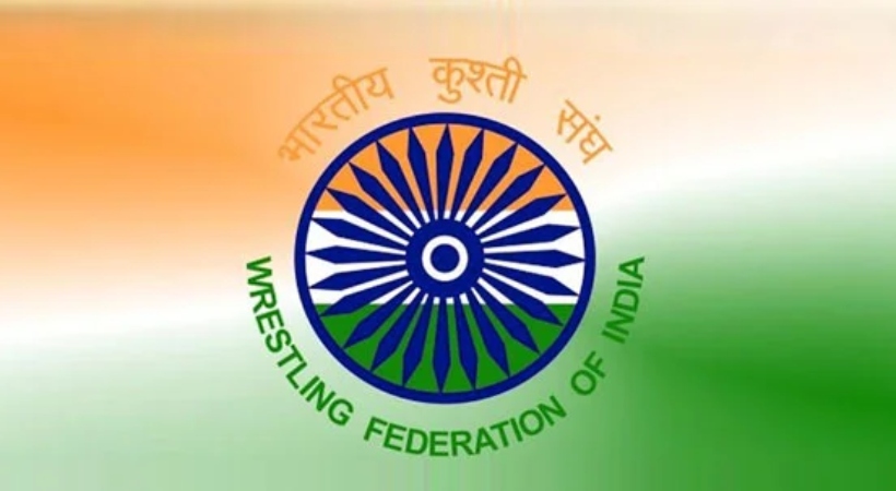 wrestling federation election president
