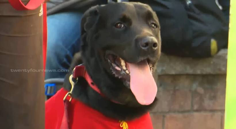 corruption in kerala police dog purchase