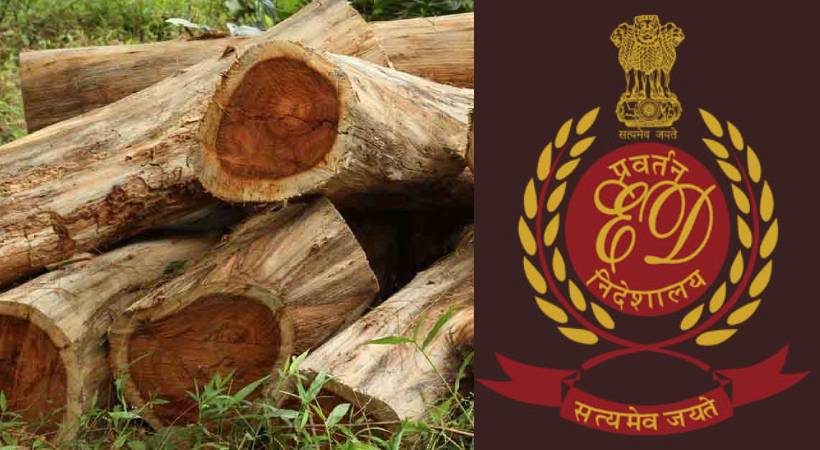 ED investigation in Muttil tree felling case