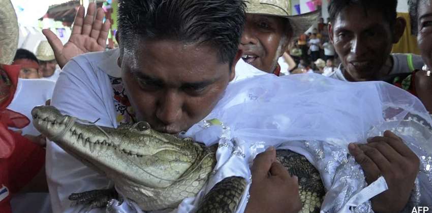 Mexican Mayor Gets Married To Crocodile To Bring Fortune To His People