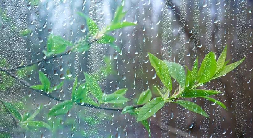 monsoon will be active from tomorrow
