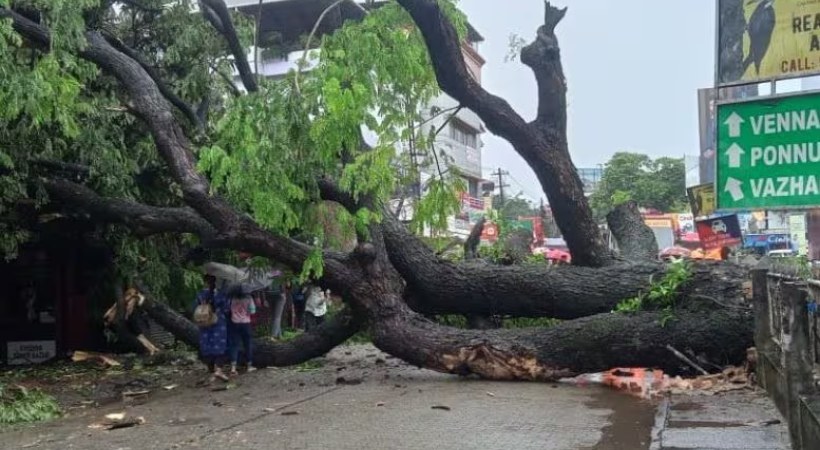 Transport Minister on Mansoon Preparation