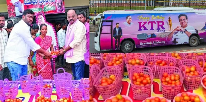 brs-leader-distributing-free-tomato