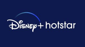 disney + hotstar password sharing