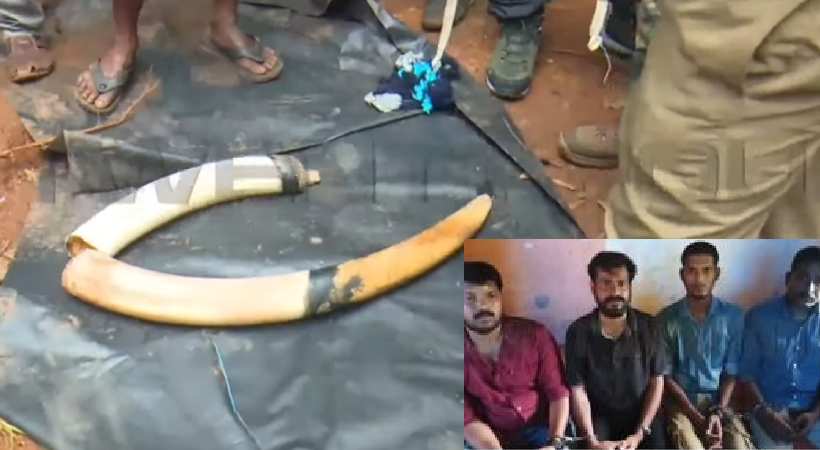 4 arrested in incident of burying body of wild elephant