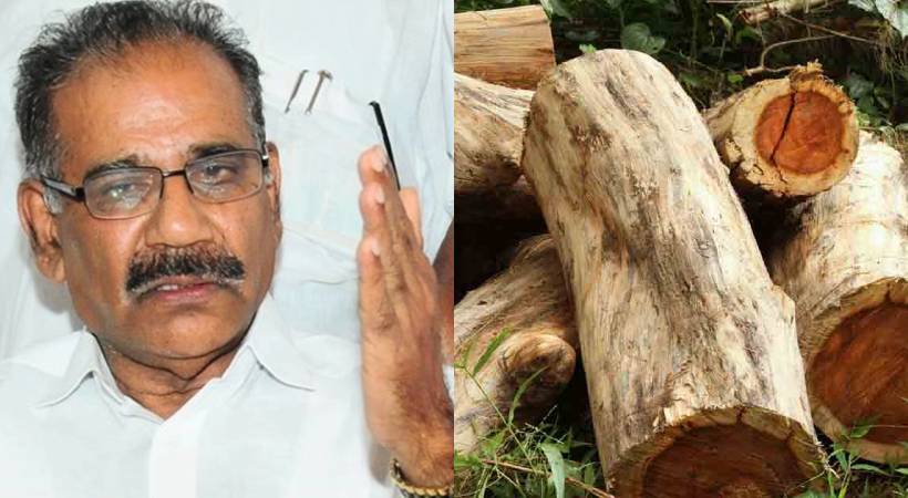 AK Saseendran says defendants argument failed in Muttil tree felling case