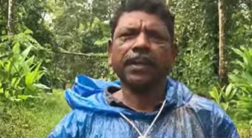 muttil tree theft case