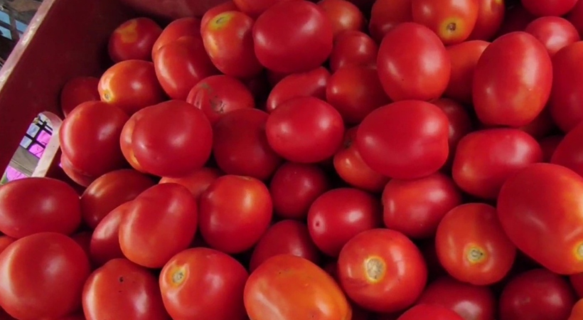 tomato lorry missing karnataka