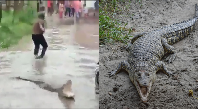 uttarakhand flood crocodile ganges