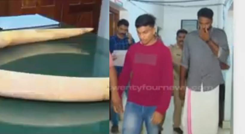 kozhikode elephant tusk case crucial information