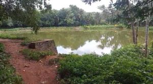3 sisters drowned dead palakkad