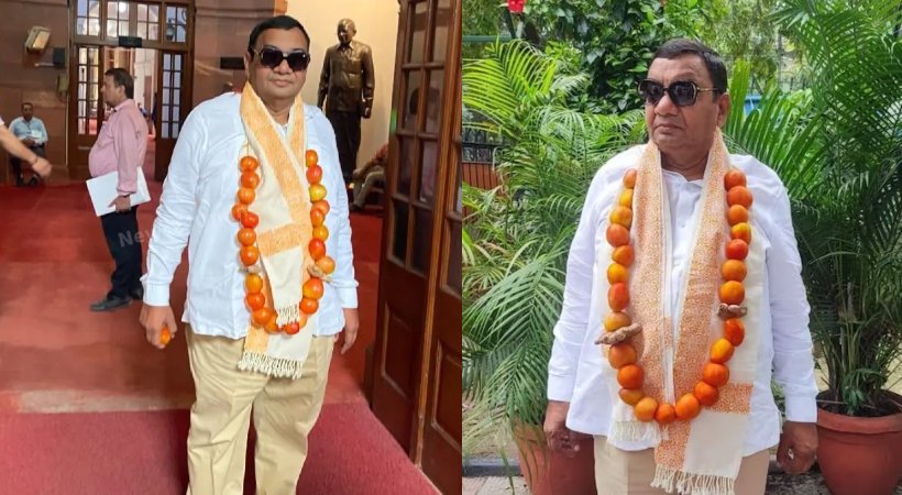 AAP MP Wears Garland Of Tomato In Protest Against Spiralling Commodity Prices