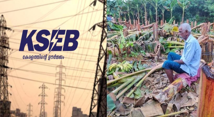 KSEB Issue; 3.5 lakh compensation to the farmer