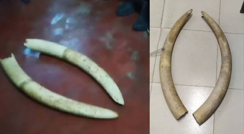 Kozhikode ivory case
