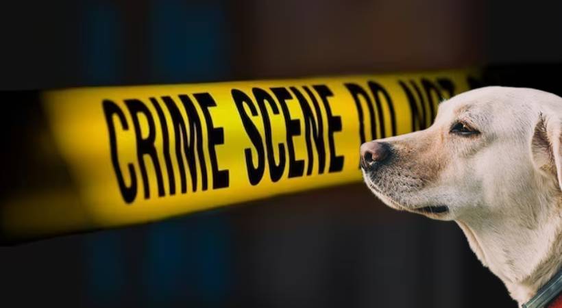 Man Kills wife and children after Being Asked Not To Hit Pet Dog