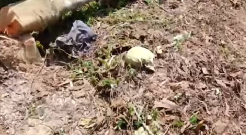 kalamassery skeleton found