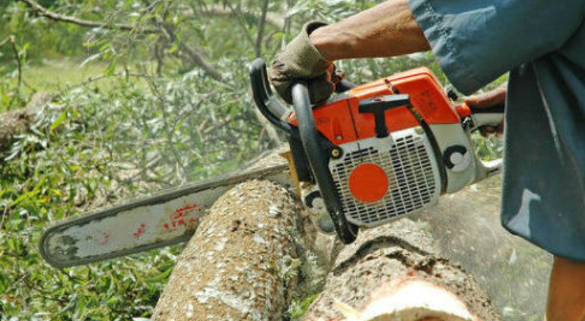 Uttar Pradesh man injures self with tree cutting machineto please Lord Shiva