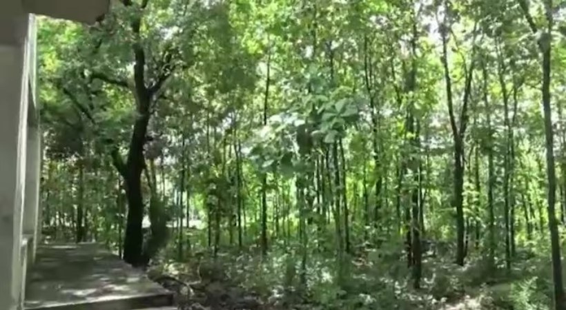 Woman found hanging at under-construction temple site