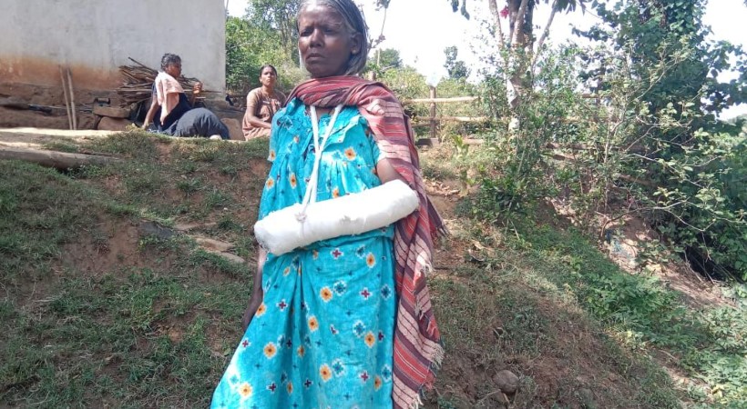 attappadi wild boar attack injury