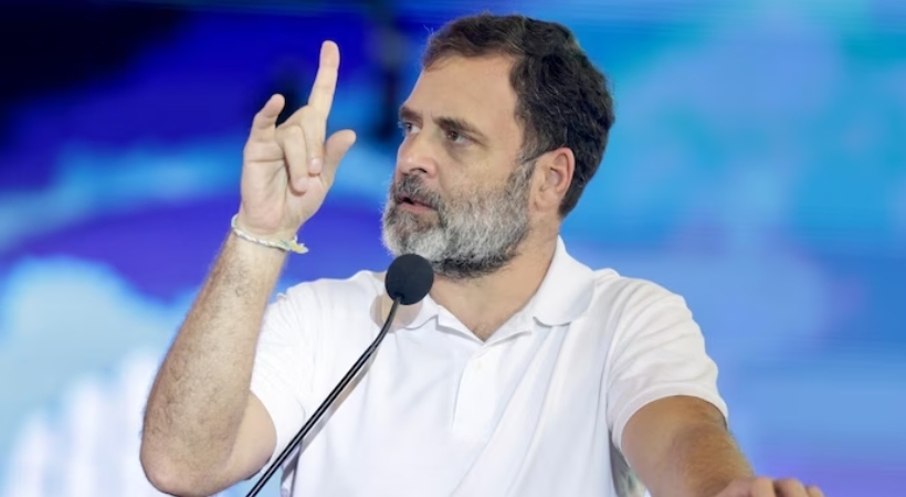Many in India fighting against 'assault' on democracy_ Rahul Gandhi