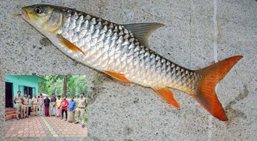 kerala protected fish species hunt youths arrested