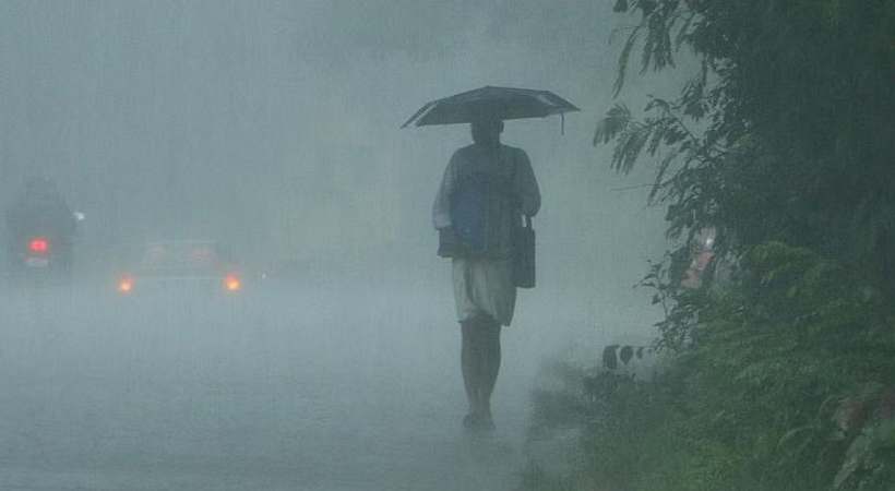 yellow alert declared in 9 districts of kerala