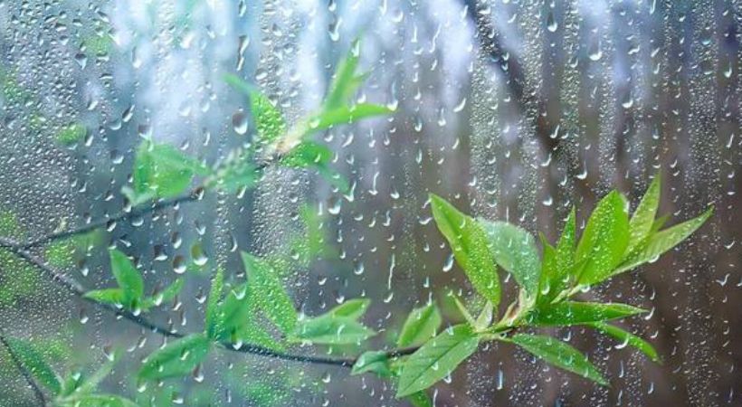 Rain continue in Kerala