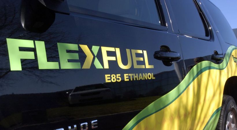 What is flex fuel discussed at G20 Summit Delhi