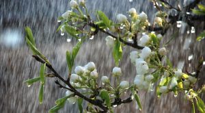 Heavy rain is possibiliy in Kerala today