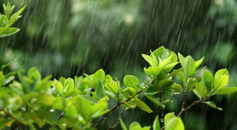 Rain will continue in Kerala
