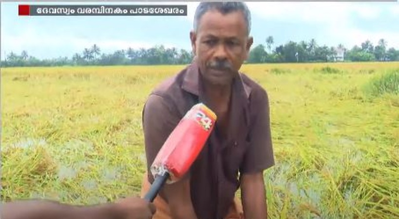 Farmers in Kuttanad are in distress as paddy fields flooded with rainwater